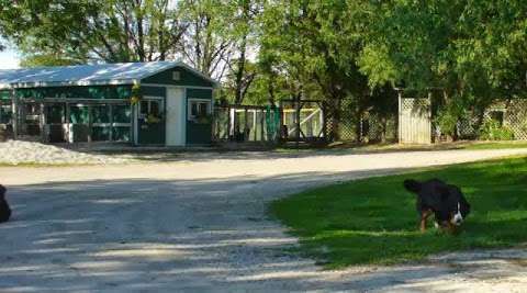 Goldenbreez Kennels Goldenbreez Kennels